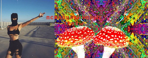скорость Зеленокумск