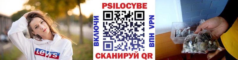 Купить где  Гдов  Псилоцибиновые грибы GOLDEN TEACHER 